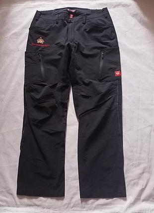 Рабочие брюки карго engelbert strauss e.s.vision stretch 56 3