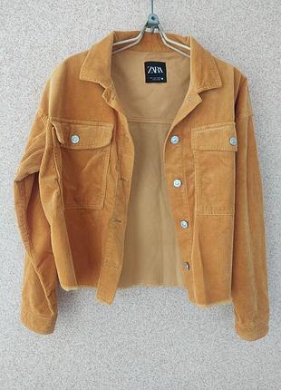 Коротка вельветова куртка zara