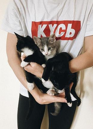 Футболка унисекс «кусь»