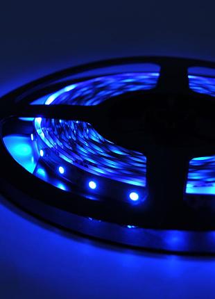 Лента светодиодная 3528, (60 светодиодов), 12b, 5 метров катушка blue