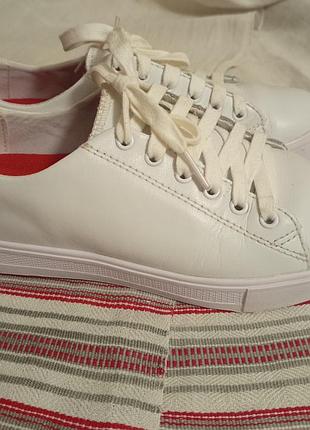 Кожаные кеды бренда shoes for crews,