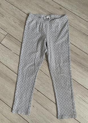 Лосіни gucci