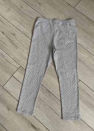 Лосіни gucci 2