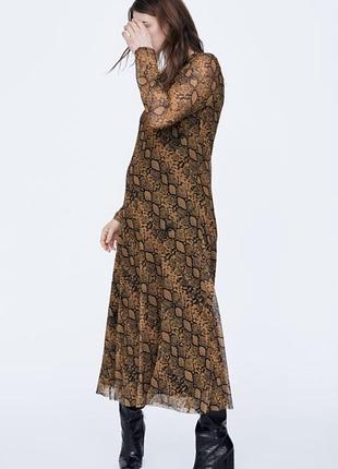 Міді сукня а- силуета в сіточку з рукавом zara длинное платье в аниме принт