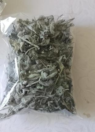 Мелисса сушеная для чая