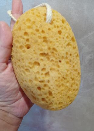 Натуральна морська губка,мочалка