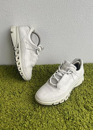 Шкіряні жіночі кросівки ecco gore-tex