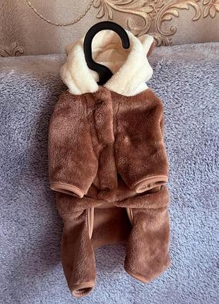 Комбінезон від pet fashion