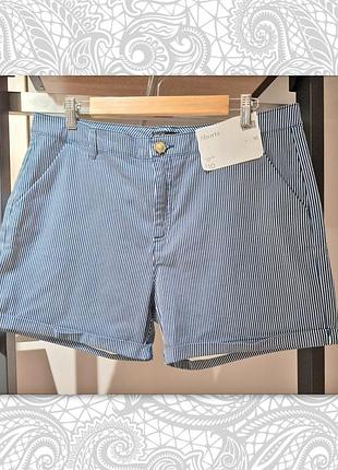 Нові біло-сині смугасті бавовняні шорти  f&f розмір 16 (розмір l, xl)