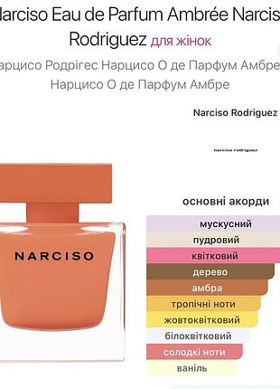 Narciso ambree 2