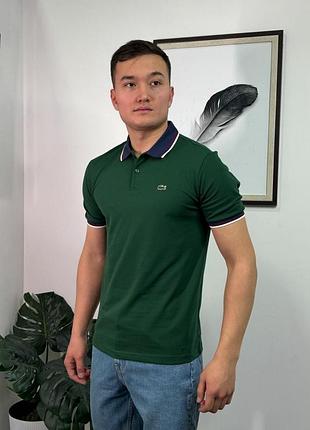 Подо lacoste l