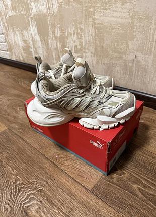 Кросівки adidas xlg