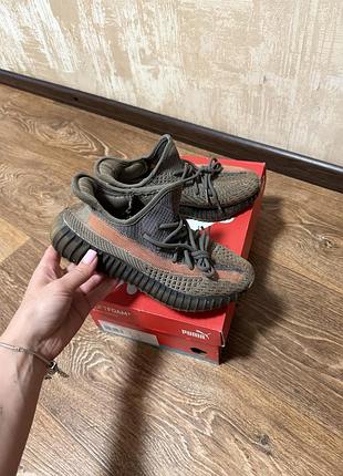 Кросівки adidas yeezy