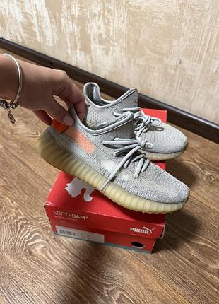 Кросівки adidas yeezy