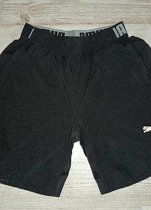 Шорты мужские спортивные puma drycell