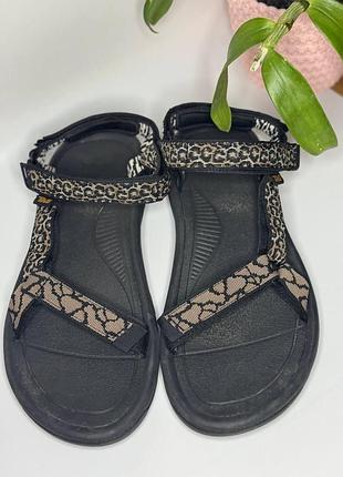 Teva gemina neutral multi hurricane 4