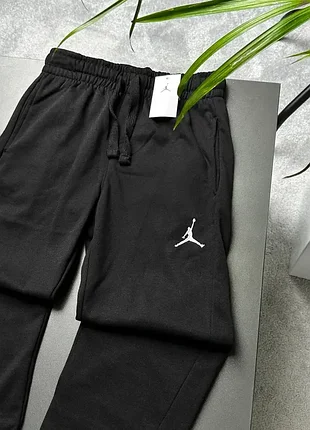 Штани jordan mini logo