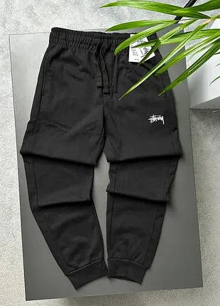 Штани stussy mini logo
