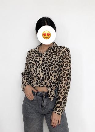 Рубашка primark s-l