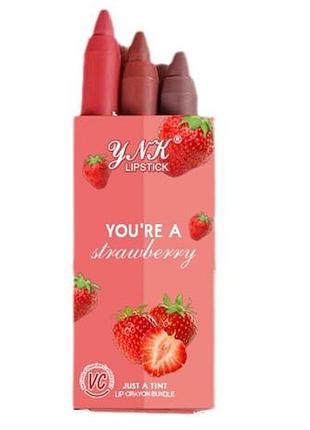 Олівець помада ynk lipstick you`re a strawberry natural vitamine c product 3 штуки