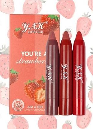 Олівець помада ynk lipstick you`re a strawberry natural vitamine c product 3 штуки