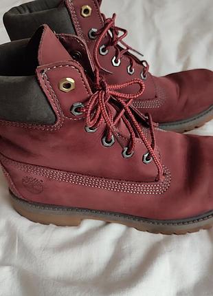 Черевики шкіряні timberland