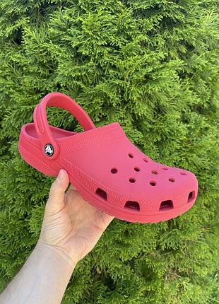 Крокси жіночі crocs сабо