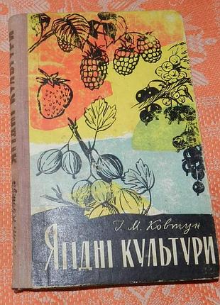 І.м. ковтун, ягідні культури