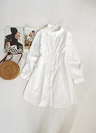 Плаття котон zara