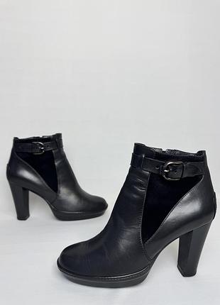 Жіночі черевики tods