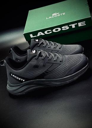 Кросівки lacoste чоловічі сірі легкі повсякденні спортивні 40-46