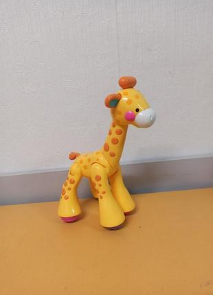 Жираф тріскачка fisher-price з серії amazing animals.