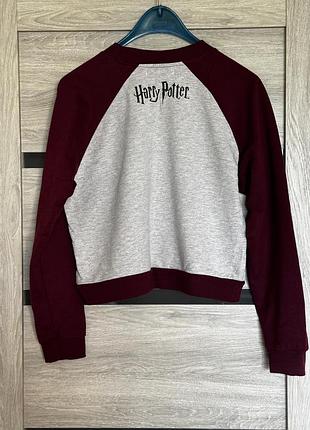 Худі harry potter 2