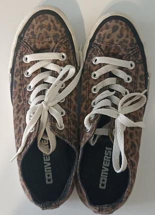 Кеди в леопардовий принт converse