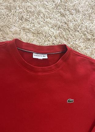 Худі від lacoste 2