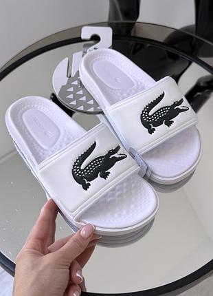 Популярные крутые шлёпки  lacoste