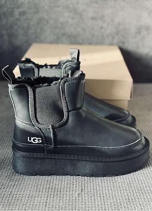 Chelsea ugg щкіра челсі чорні уги на платформі жіночі ugg челсі зима