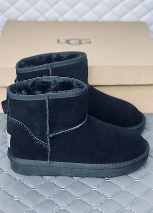 Замшеві ультраміні уги жіночі ugg mini замш зима 40