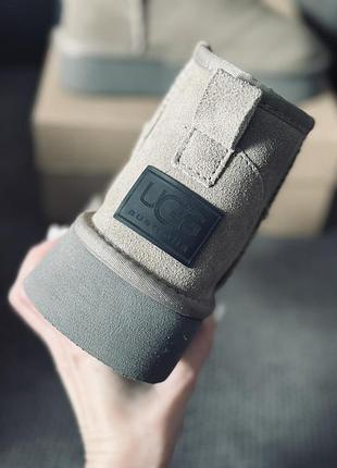 Замшеві ультра міні уги жіночі ugg ultramini замш зима сірі