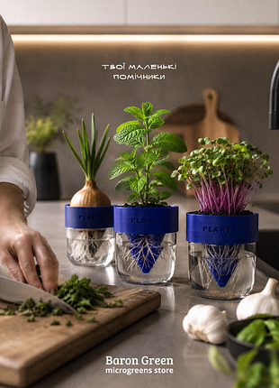 Planty - преврати пустые банки в помощников на кухне.