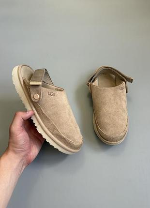 Шлепанцы ugg goldenstar clog бежевые 38(24см) tasman tazz