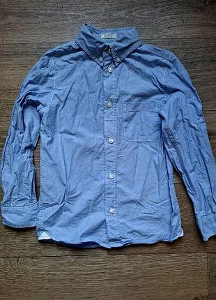 Рубашка cotton, h&amp;m