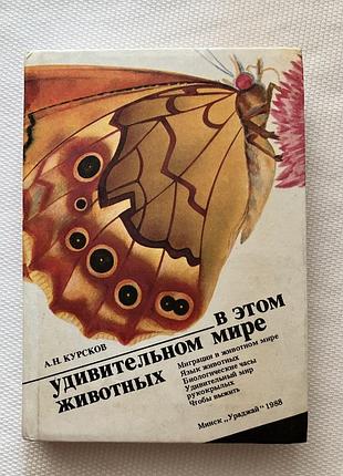 В этом удивительном мире животных