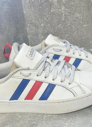 Жіночі кросівки adidas superstar bold