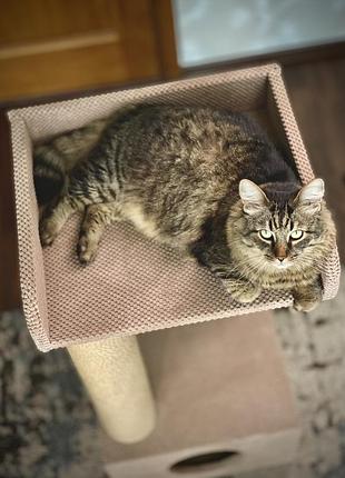 Xoma cat якісний комплекс для кота