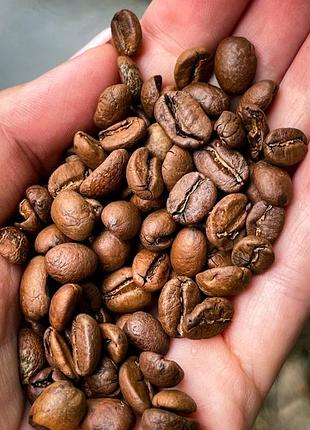 Кава в зернах kuguar coffee honduras shg 100% арабіка, середнє обсмаження, 1 кг