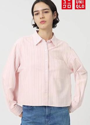 Укорочена сорочка оксфордського крою uniqlo