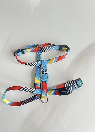 Шлея zeedog розмір xs