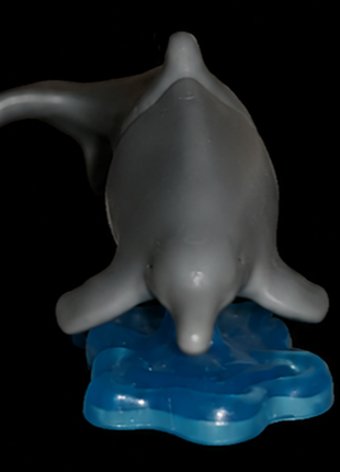 Kinder natoons dolphin
