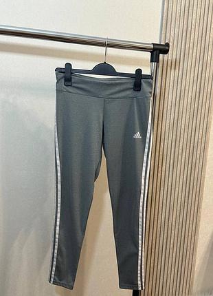 Лосіни adidas жіночі •розмір м